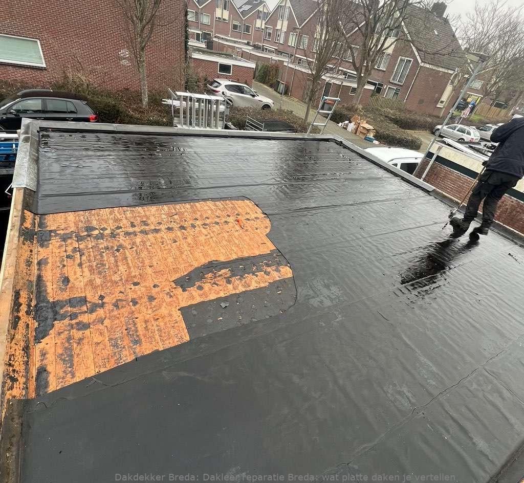Dakleer Reparatie Breda