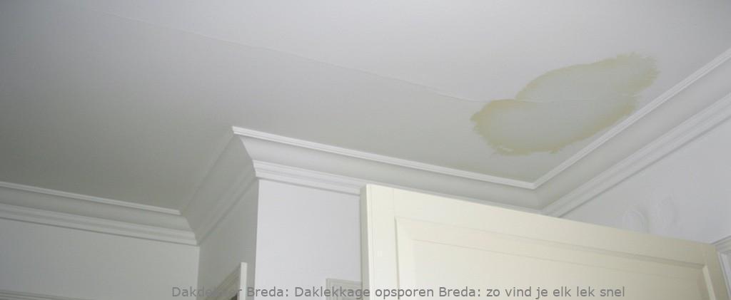 Daklekkage Opsporen Breda 1