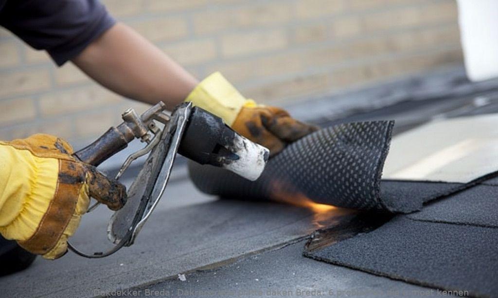 Dakreparatie Platte Daken Breda