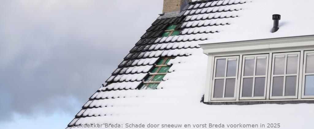 Schade Door Sneeuw En Vorst Breda